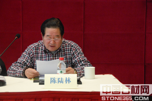 常务副会长陈陆林作财务报告